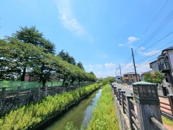 万葉集にも詠われた真間川とともに暮らすのも素敵ですね。