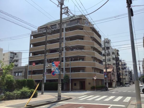 モンファイエ菊川